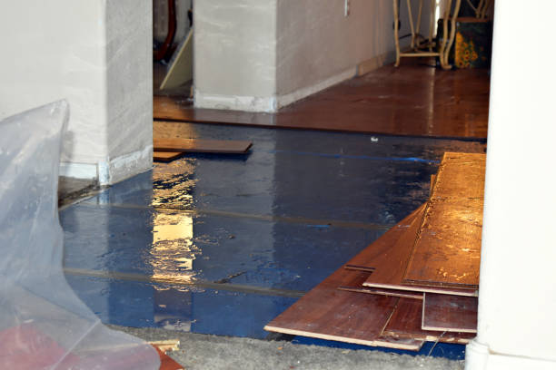 Professional Water Damage Restoration technician working in Utica, NE